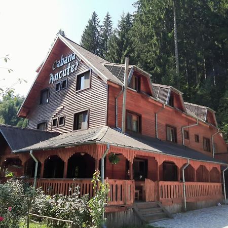 Cabana Ancutei Rucăr Екстериор снимка