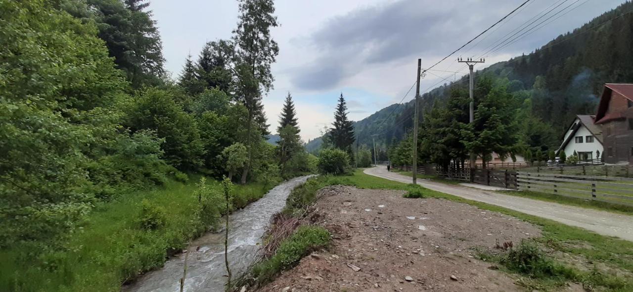 Cabana Ancutei Rucăr Екстериор снимка