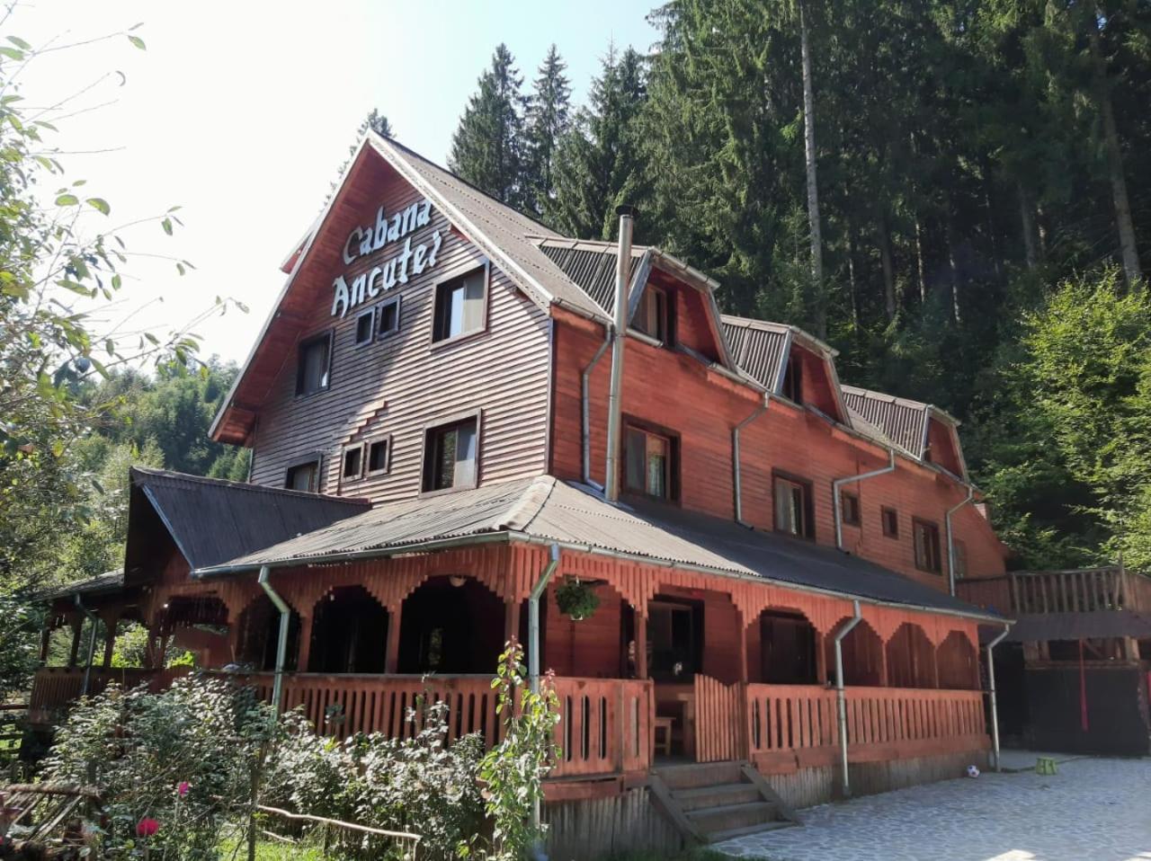 Cabana Ancutei Rucăr Екстериор снимка