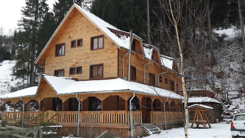 Cabana Ancutei Rucăr Екстериор снимка