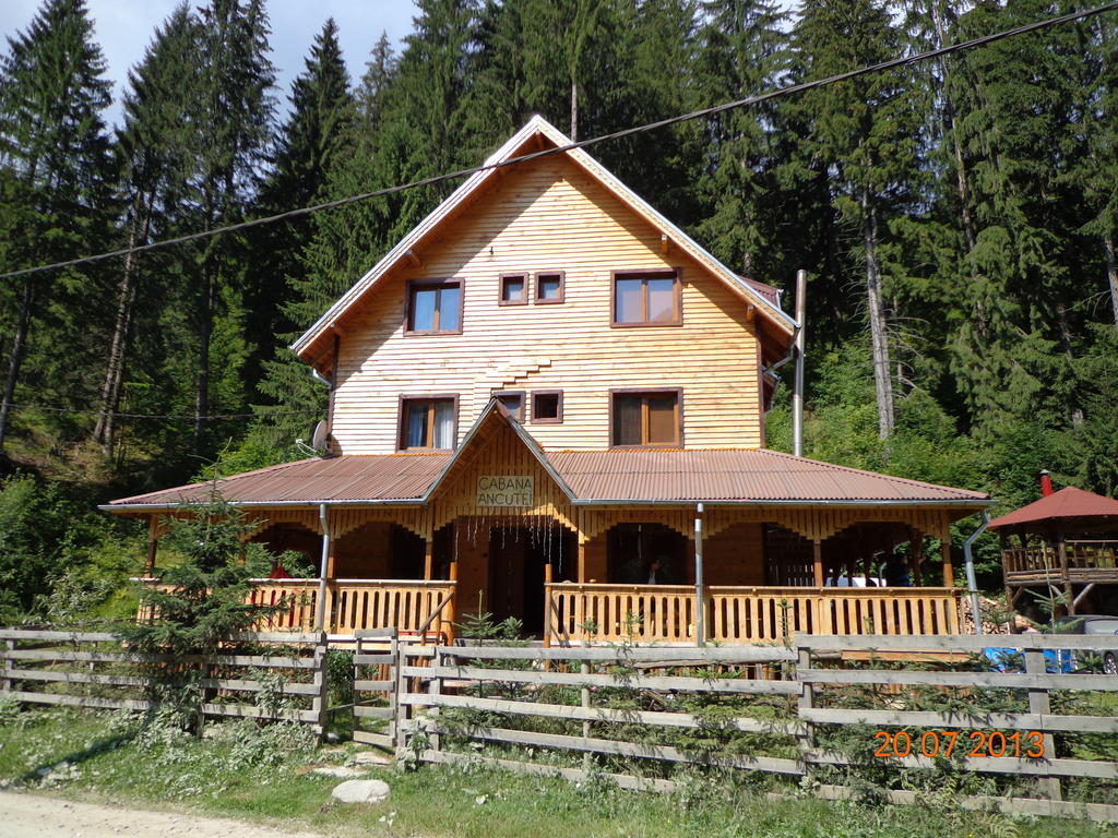 Cabana Ancutei Rucăr Екстериор снимка
