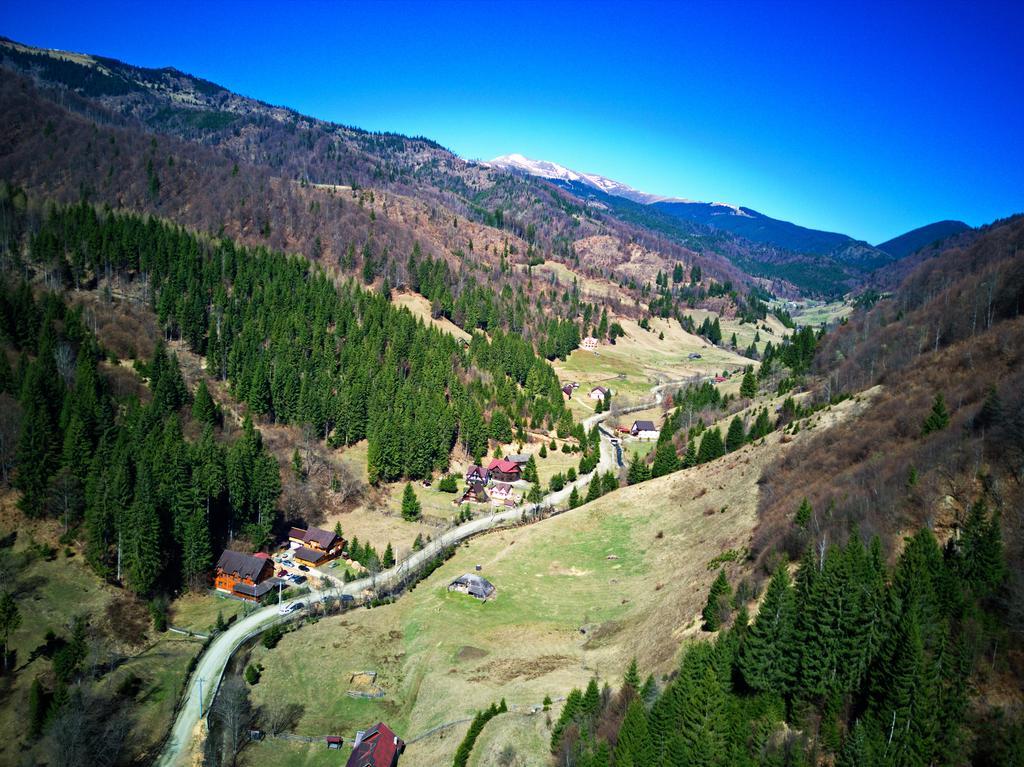 Cabana Ancutei Rucăr Екстериор снимка
