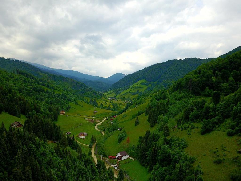 Cabana Ancutei Rucăr Екстериор снимка