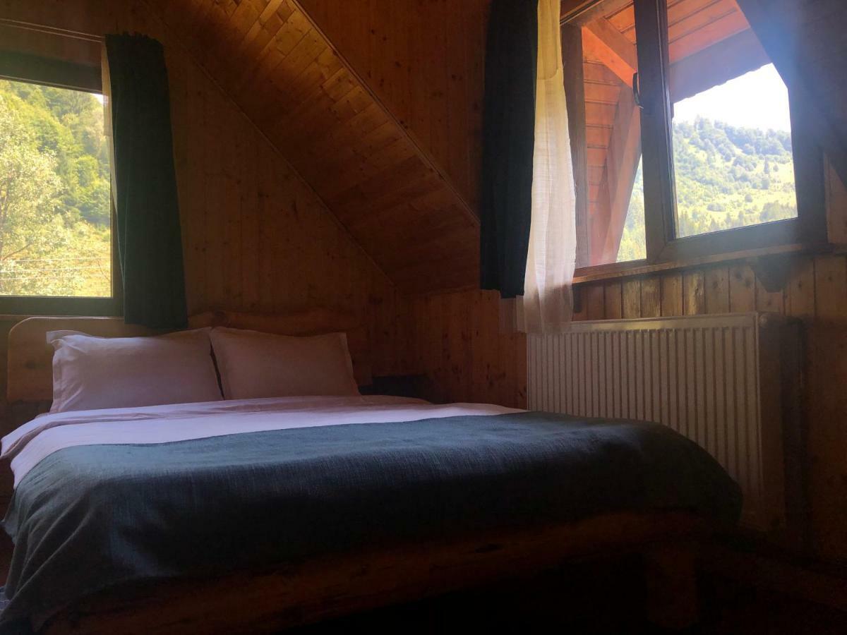 Cabana Ancutei Rucăr Екстериор снимка